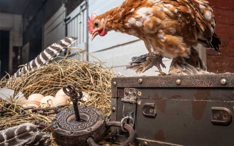 Farm_Escape_3